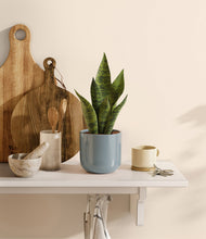 Load image into Gallery viewer, Misty Blue