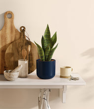 Load image into Gallery viewer, Twilight Blue