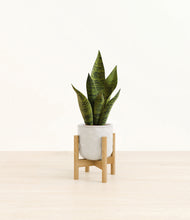 Load image into Gallery viewer, Hammered Ivory stand:bamboo