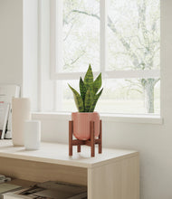 Load image into Gallery viewer, Striped Rose Pink stand:walnut
