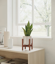 Load image into Gallery viewer, Snowdrift White stand:walnut