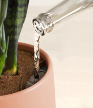 Load image into Gallery viewer, Lily Pad stand:all