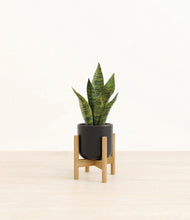 Load image into Gallery viewer, Stone Black stand:bamboo