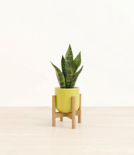 Load image into Gallery viewer, Key Lime Yellow stand:bamboo