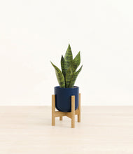 Load image into Gallery viewer, Twilight Blue stand:bamboo