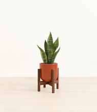Load image into Gallery viewer, Glossy Red stand:walnut