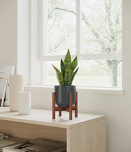 Load image into Gallery viewer, Iron Gray stand:walnut