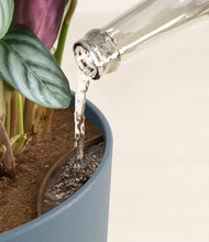 Load image into Gallery viewer, Iron Gray stand:all