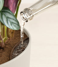 Load image into Gallery viewer, Natural Bamboo stand:all