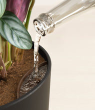 Load image into Gallery viewer, Stone Black stand:all