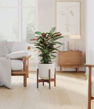 Load image into Gallery viewer, Natural Bamboo stand:walnut