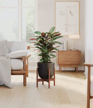 Load image into Gallery viewer, Stone Black stand:walnut