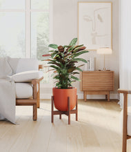 Load image into Gallery viewer, Earth Red stand:walnut