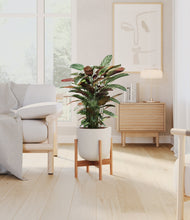 Load image into Gallery viewer, Natural Bamboo stand:bamboo