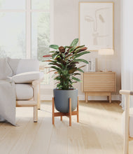 Load image into Gallery viewer, Iron Gray stand:bamboo