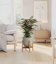 Load image into Gallery viewer, Sage Green stand:bamboo