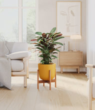 Load image into Gallery viewer, Sunset Orange stand:bamboo