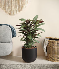 Load image into Gallery viewer, Stone Black