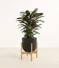 Load image into Gallery viewer, Stone Black stand:bamboo