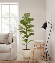 Load image into Gallery viewer, Shiny EggWhite