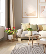 Load image into Gallery viewer, Buttercream stand:one_stand