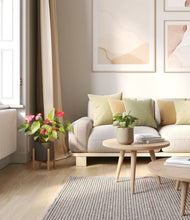 Load image into Gallery viewer, Forest Moss stand:one_stand