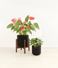 Load image into Gallery viewer, Graphite stand:one_stand