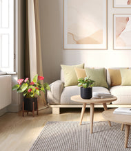 Load image into Gallery viewer, Graphite stand:one_stand