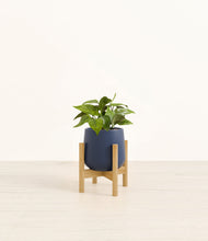 Load image into Gallery viewer, Deep Navy stand:bamboo