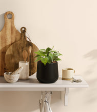 Load image into Gallery viewer, Black