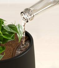 Load image into Gallery viewer, Black stand:all