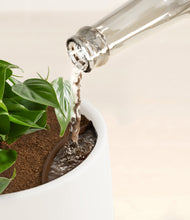 Load image into Gallery viewer, White stand:all