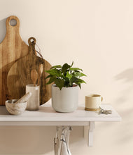 Load image into Gallery viewer, Cotton White