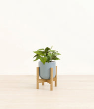 Load image into Gallery viewer, Misty Blue stand:bamboo