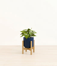 Load image into Gallery viewer, Twilight Blue stand:bamboo
