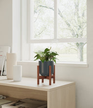 Load image into Gallery viewer, Iron Gray stand:walnut