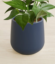 Load image into Gallery viewer, Deep Navy stand:all