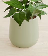 Load image into Gallery viewer, Turquoise stand:all