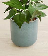Load image into Gallery viewer, Reactive Aqua stand:all