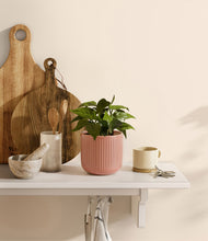 Load image into Gallery viewer, Striped Rose Pink