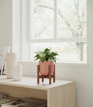 Load image into Gallery viewer, Striped Rose Pink stand:walnut
