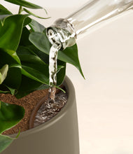 Load image into Gallery viewer, Olive stand:all