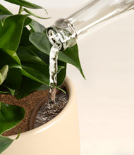 Load image into Gallery viewer, Almond Green stand:all