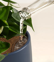 Load image into Gallery viewer, Deep Navy stand:all