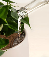 Load image into Gallery viewer, Woodland stand:all