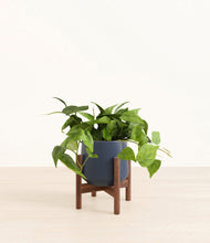 Lade das Bild in den Galerie-Viewer, Deep Navy stand:walnut