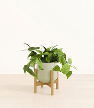Lade das Bild in den Galerie-Viewer, Turquoise stand:bamboo