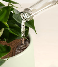 Load image into Gallery viewer, Turquoise stand:all