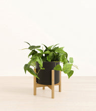 Lade das Bild in den Galerie-Viewer, Black stand:bamboo