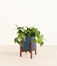 Lade das Bild in den Galerie-Viewer, Deep Navy stand:walnut